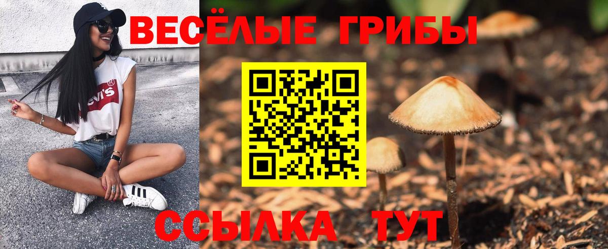 Галлюциногенные грибы Magic Shrooms  Вход с VPN  Артём  Галлюциногенные грибы ЛСД 